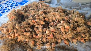 황규복(달구지)님의 자유주제 · 자유게시판 작성글 사진