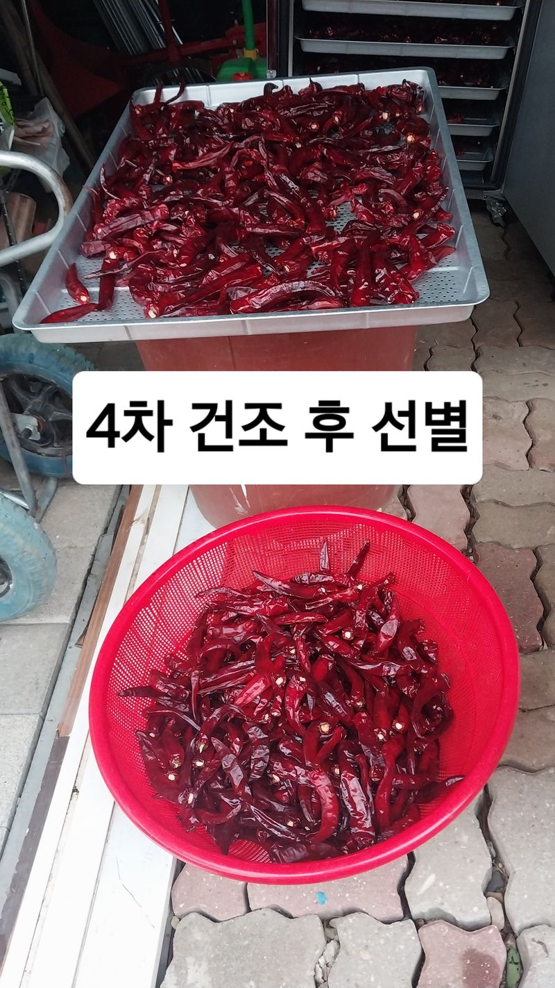 삼밭골님의 장터 판매 상품 [건고추(5근이상)] 첨부 사진