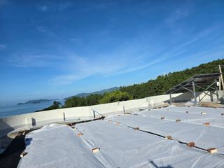 고추농사 정 미라님의 자유주제 · 자유게시판 작성글 사진