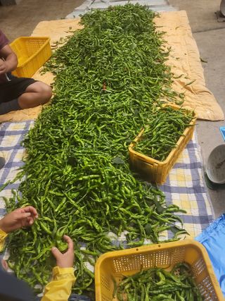 이연화님의 자유주제 · 자유게시판 작성글 사진