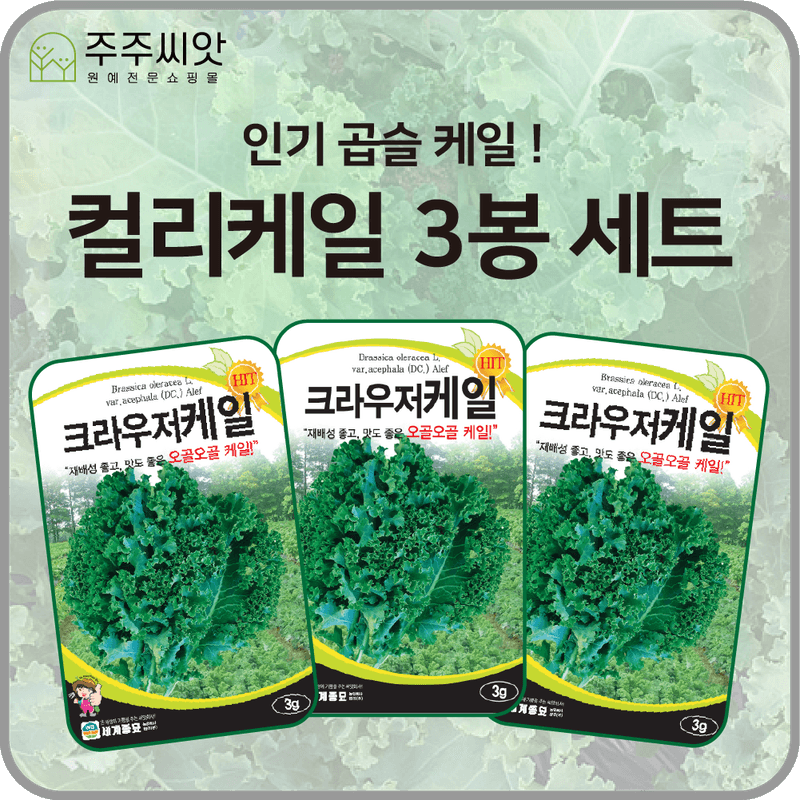 장터 상품 [크라우저 케일 씨앗 3봉 세트 / 인기 컬리케일 곱슬케일] 썸네일