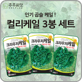 팜모닝 · 게시글 이미지