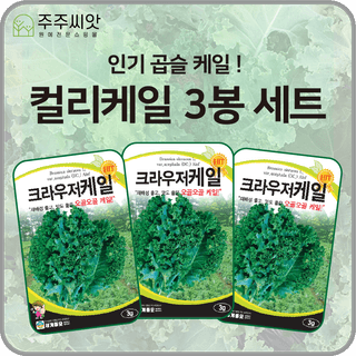 주주씨앗님의 작성글 사진