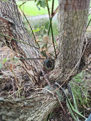 밀양달콤팜님의 자유주제 · 자유게시판 작성글 사진
