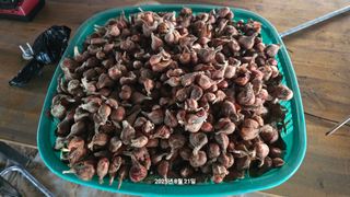 황규복(달구지)님의 자유주제 · 자유게시판 작성글 사진