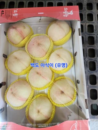 하림네복숭아 농장님의 작성글 사진