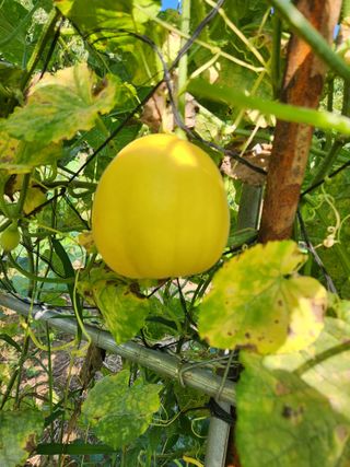 강물님의 자유주제 · 자유게시판 작성글 사진