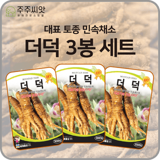 주주씨앗님의 작성글 사진