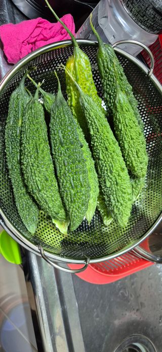 봉림동 태진농장님의 작성글 사진