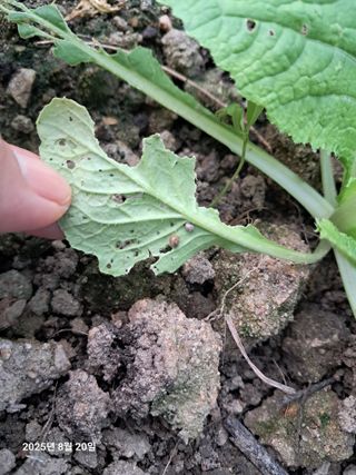 선이랑순이랑님의 자유주제 · 자유게시판 작성글 사진