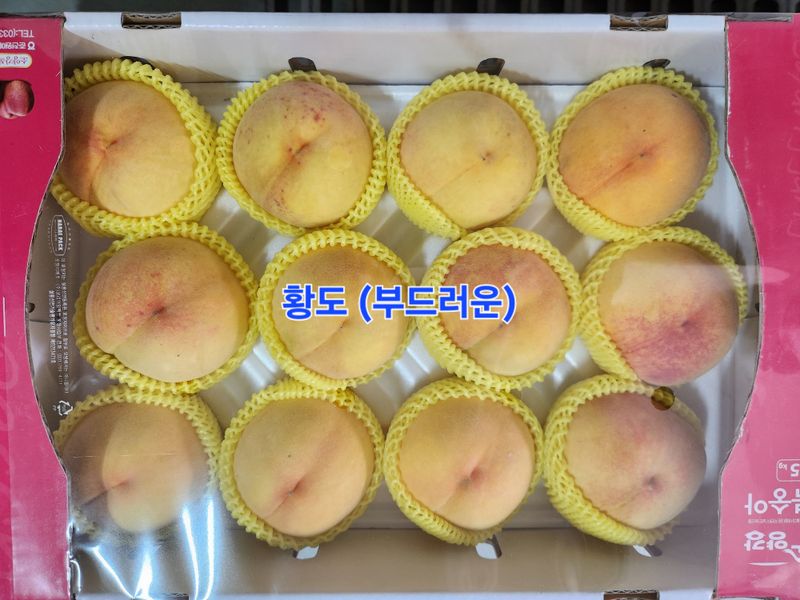 하림네복숭아 농장님의 장터 판매 상품 [아삭이 백도. 황도 복숭아 4kg 기준] 첨부 사진