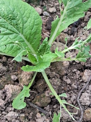 선이랑순이랑님의 자유주제 · 자유게시판 작성글 사진