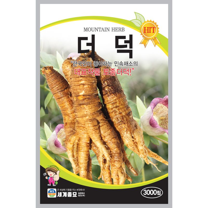 주주씨앗님의 장터 판매 상품 [더덕 씨앗 3봉 세트 / 토종 민속채소 씨앗 ] 첨부 사진