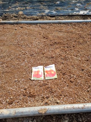 김경일 님의 자유주제 · 자유게시판 작성글 사진