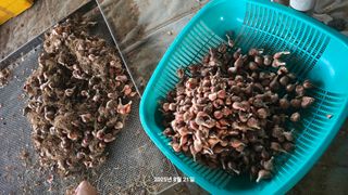 황규복(달구지)님의 자유주제 · 자유게시판 작성글 사진