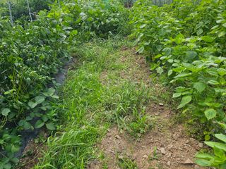 farmer님의 자유주제 · 자유게시판 작성글 사진