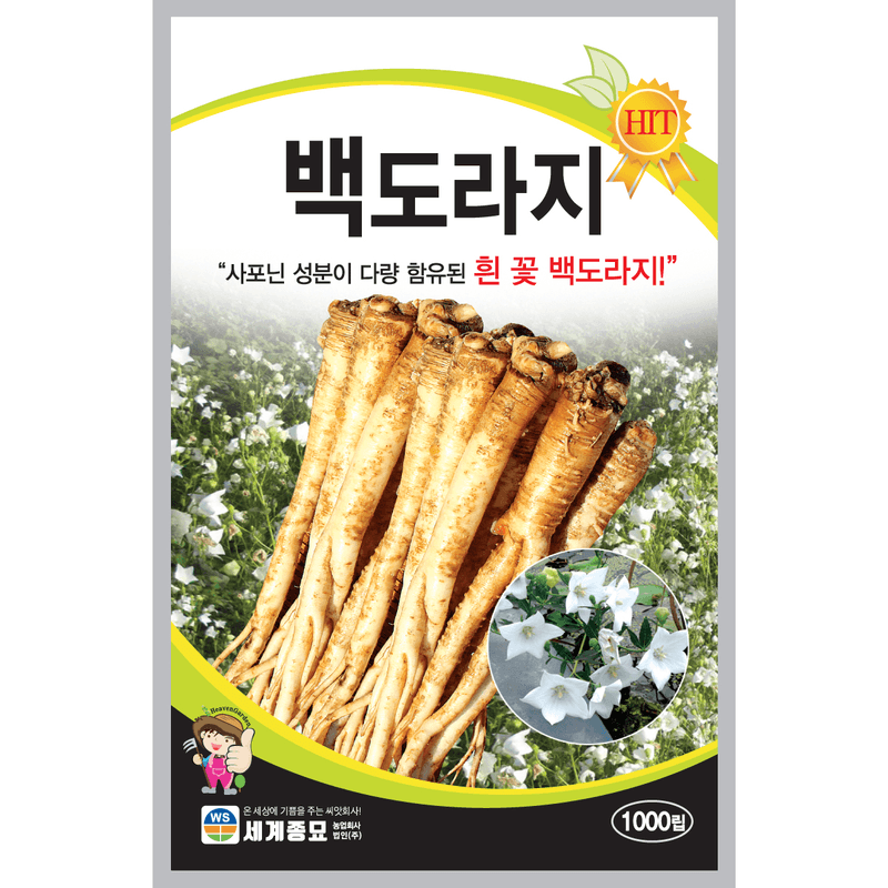 주주씨앗님의 장터 판매 상품 [백도라지 씨앗 3봉 세트 / 토종 민속채소 씨앗] 첨부 사진