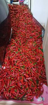 팜모닝 자유주제·자유게시판 게시글 이미지