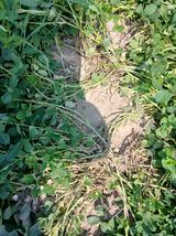 팜모닝 자유주제·자유게시판 게시글 이미지