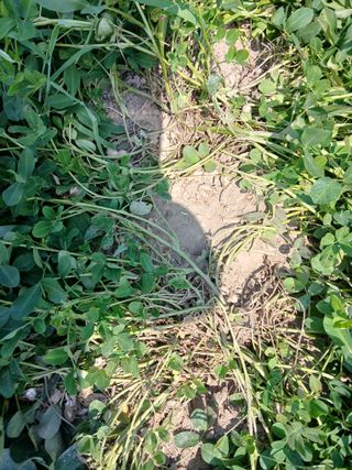 이갑덕님의 자유주제 · 자유게시판 작성글 사진