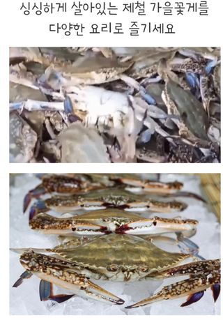 농수사님의 작성글 사진