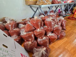 고추농사 정 미라님의 자유주제 · 자유게시판 작성글 사진