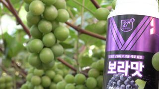 누보농장님의 자유주제 · 자유게시판 작성글 사진