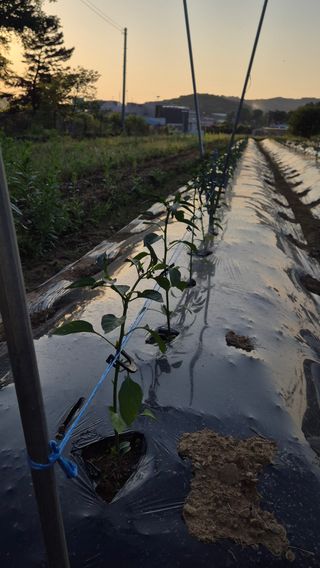 망치님의 자유주제 · 자유게시판 작성글 사진