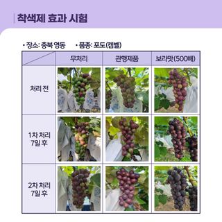 누보농장님의 자유주제 · 자유게시판 작성글 사진