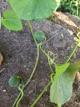 팜모닝 자유주제·자유게시판 게시글 이미지