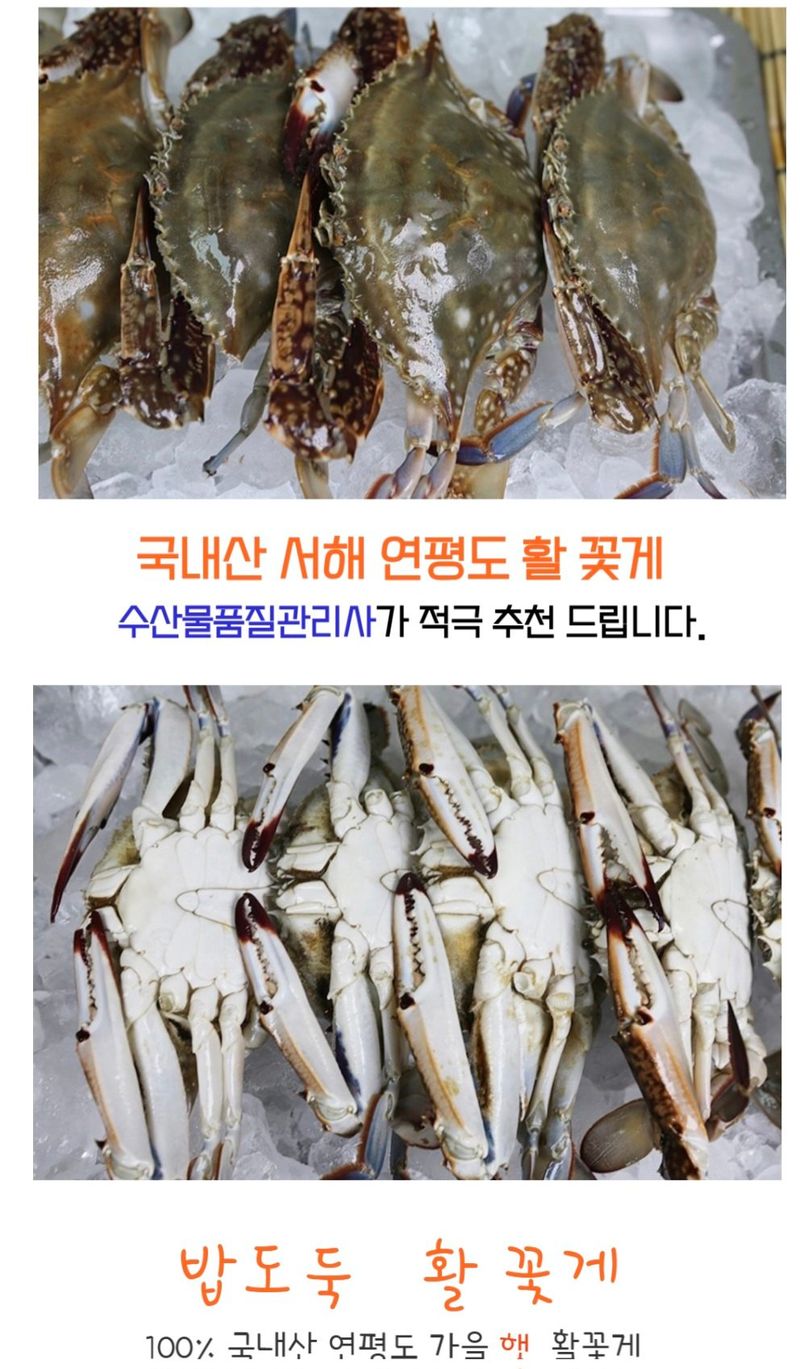 농수사님의 장터 판매 상품 [서해 연평도 제철 가을 햇 활꽃게 1kg] 첨부 사진