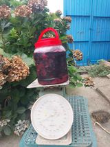 팜모닝 · 게시글 이미지