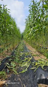 팜모닝 자유주제·자유게시판 게시글 이미지