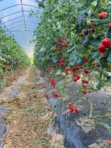 팜모닝 자유주제·자유게시판 게시글 이미지