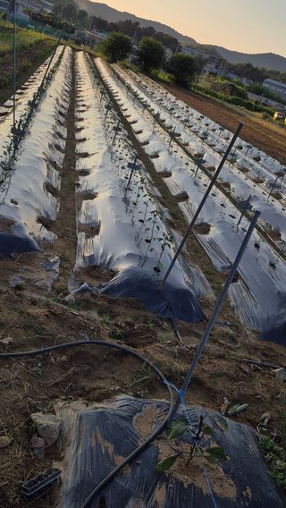 망치님의 자유주제 · 자유게시판 작성글 사진