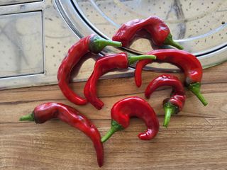 윤무섭님의 자유주제 · 자유게시판 작성글 사진