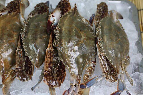 장터 상품 [서해 연평도 제철 가을 햇 활꽃게 1kg] 썸네일