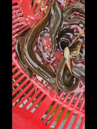 김재현님의 자유주제 · 자유게시판 작성글 사진