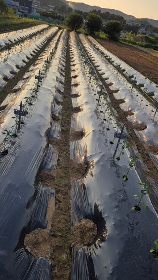 망치님의 자유주제 · 자유게시판 작성글 사진