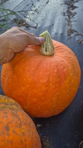 망치님의 자유주제 · 자유게시판 작성글 사진