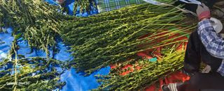 양일봉님의 자유주제 · 건의해요 작성글 사진