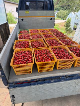 연재홍님의 자유주제 · 자유게시판 작성글 사진