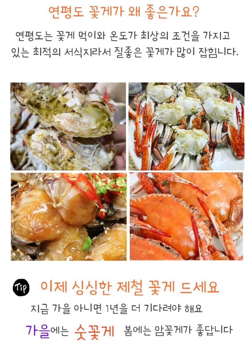 농수사님의 장터 판매 상품 [서해 연평도 제철 가을 햇 활꽃게 1kg] 첨부 사진