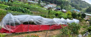 양일봉님의 자유주제 · 건의해요 작성글 사진