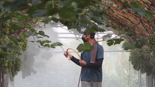 누보농장님의 자유주제 · 자유게시판 작성글 사진