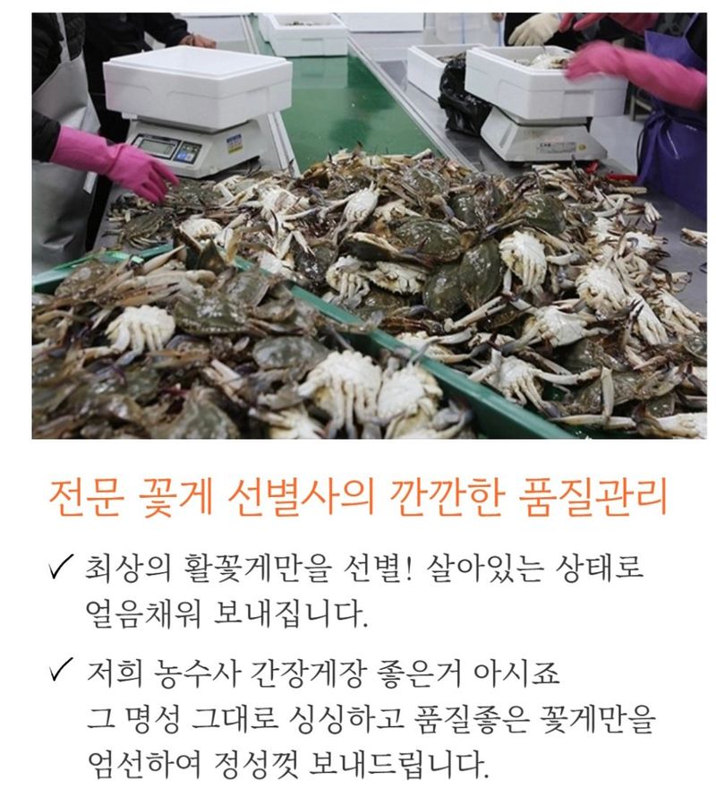 농수사님의 장터 판매 상품 [서해 연평도 제철 가을 햇 활꽃게 1kg] 첨부 사진