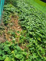 팜모닝 자유주제·자유게시판 게시글 이미지