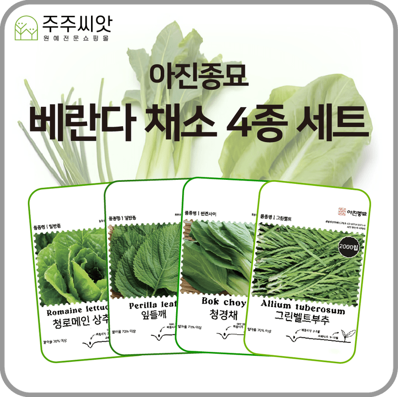 장터 상품 [베란다 채소 씨앗 4종 세트 / 가정 원예용 / 상추, 잎들깨, 청경채, 부추 씨앗] 썸네일