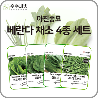 주주씨앗님의 작성글 사진