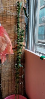 팜모닝 자유주제·자유게시판 게시글 이미지